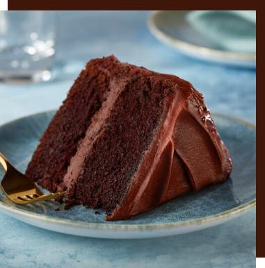 slice of chocolate cake on a plate